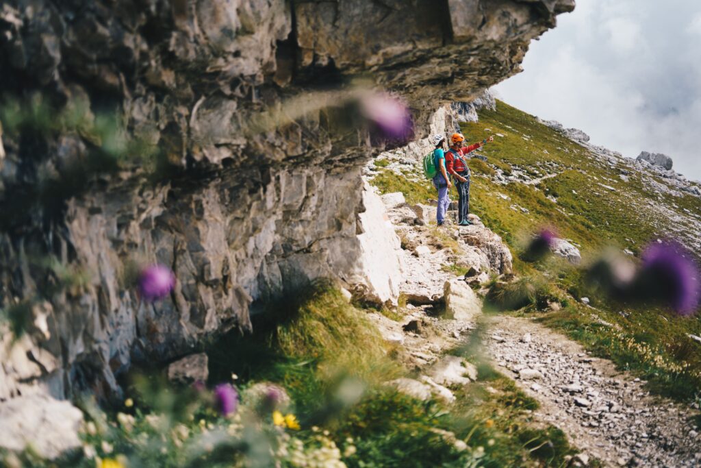 Fiori e Montagna Madonna di Campiglio